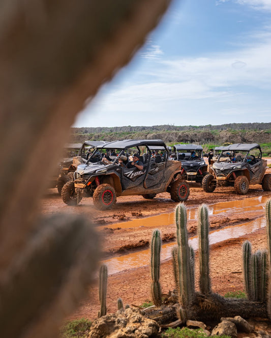 Best Tour Companies in Curaçao for ATV and Buggy Tours: How to Compare Before You Book