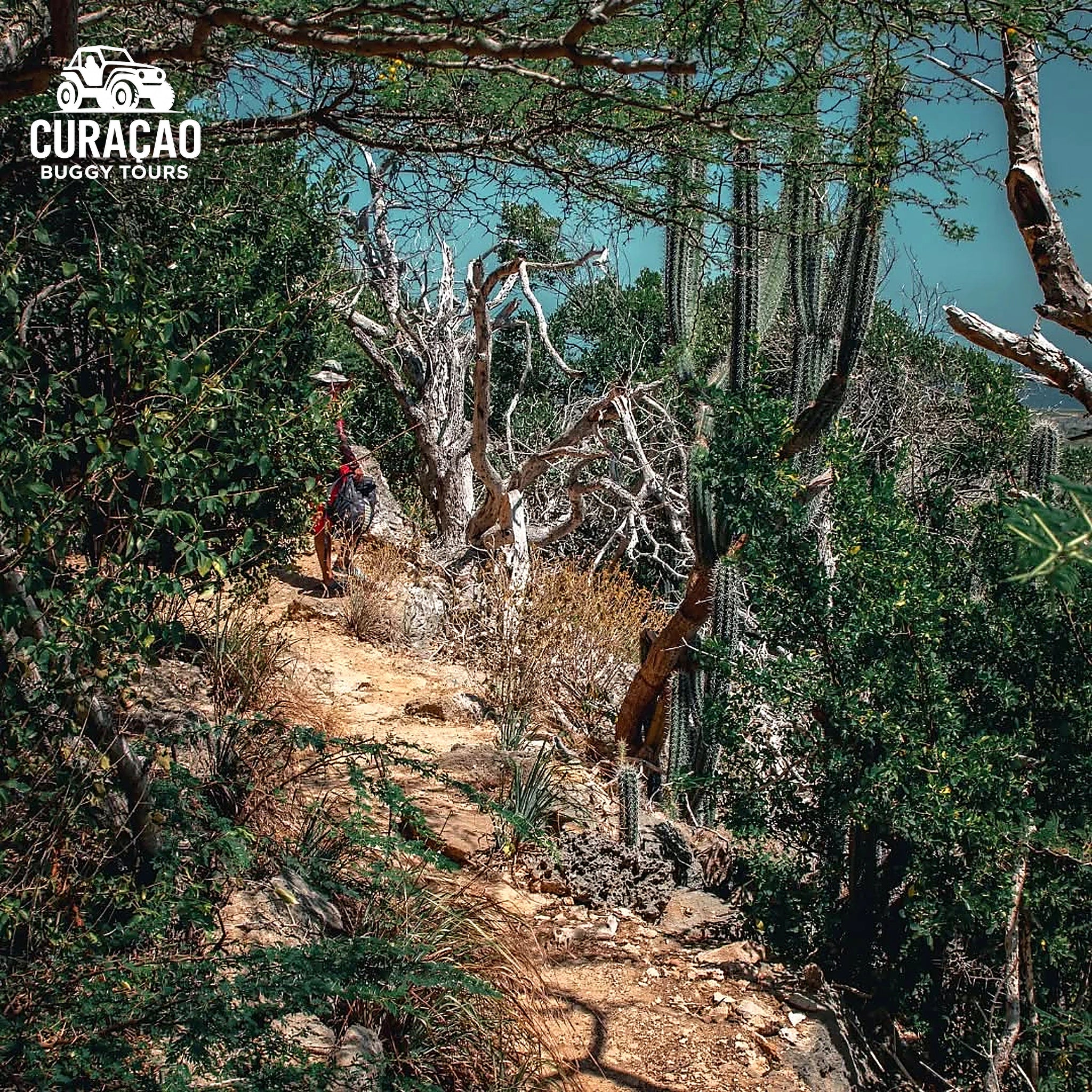 4 Hour West Coast ATV Tour Curacao – Off-Road Adventure