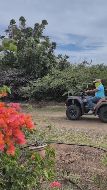 Watamula ATV Tour Curaçao – Off-Road Adventure Experience